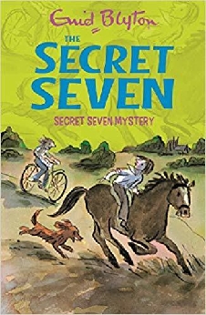 Secret Seven Mystery